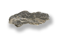 M 02564
<br/>
<br/>
<em></em>